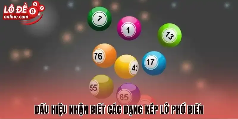 Dấu hiệu nhận biết các dạng kép lô phổ biến