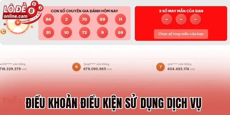 Điều khoản điều kiện sử dụng dịch vụ 