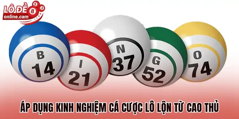 Áp dụng kinh nghiệm cá cược lô lộn từ cao thủ