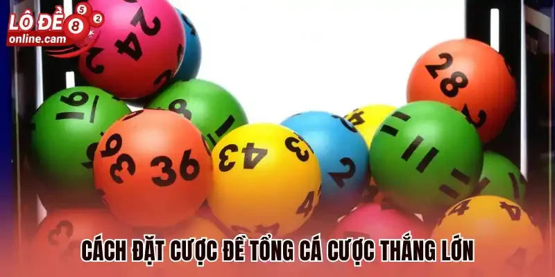 Cách đặt cược đề tổng cá cược thắng lớn