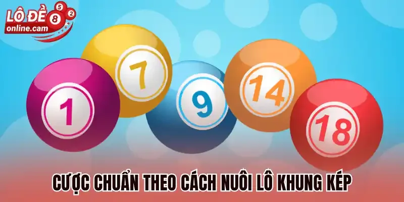 Cược chuẩn theo cách nuôi lô khung kép