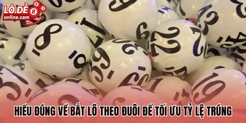 Hiểu đúng về bắt lô theo đuôi để tối ưu tỷ lệ trúng