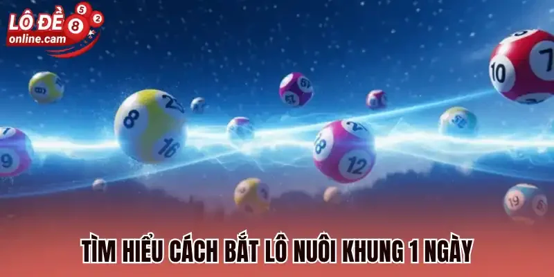 Tìm hiểu cách bắt lô nuôi khung 1 ngày